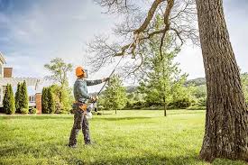 Best Commercial Tree Services  in Florence Graham, CA